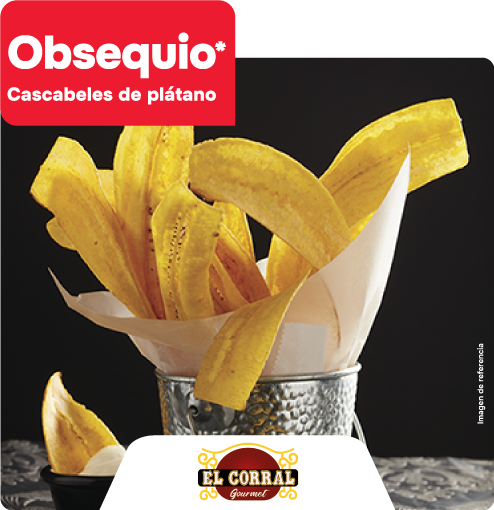 alianza el corral VOC